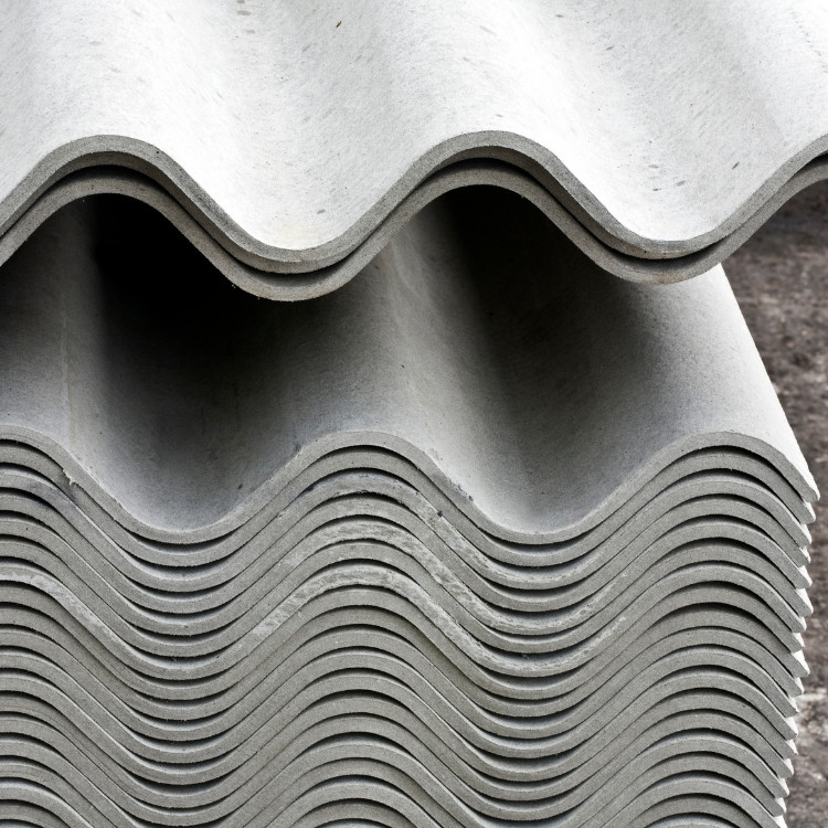 Just another WordPress site